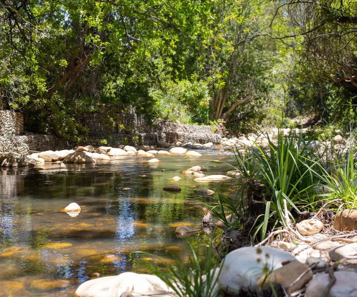 Aan De Oewer 03
